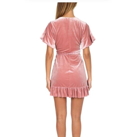 MISA Los Angeles Women's Desma Velvet Wrap Cocktail Mini Dress Pink Size Medium - Picture 2 of 11
